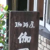 伽羅の写真・動画_image_251566