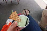 メイマルシェの写真・動画_image_251730