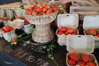 メイマルシェの写真・動画_image_251732