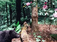 MieMu 三重県総合博物館の写真・動画_image_251751