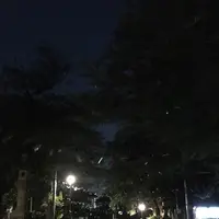 池上本門寺の写真・動画_image_251887