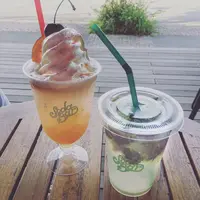 ソーダ・バーの写真・動画_image_251961
