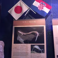 碧南市青少年海の科学館・碧南海浜水族館の写真・動画_image_252086