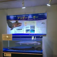 碧南市青少年海の科学館・碧南海浜水族館の写真・動画_image_252088