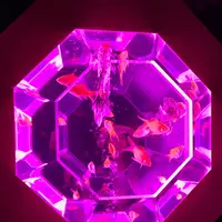 コレド室町1の写真・動画_image_252243