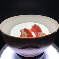 コレド室町1の写真・動画_image_252244