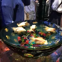 コレド室町1の写真・動画_image_252250