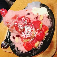 HOMIBING（ホミビン）の写真・動画_image_252746