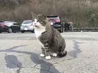 御誕生寺の写真・動画_image_252850