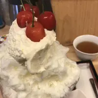 ひみつ堂の写真・動画_image_252923
