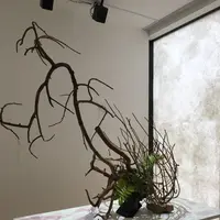 GYRE（ジャイル） 表参道の写真・動画_image_253239