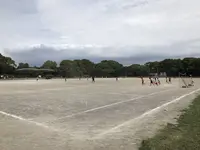 大井ふ頭海浜公園の写真・動画_image_253423