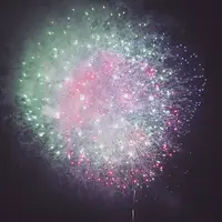 隅田川花火大会 第2会場の写真・動画_image_253615