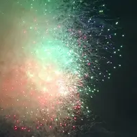 隅田川花火大会 第2会場の写真・動画_image_253616