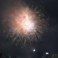 隅田川花火大会 第2会場の写真・動画_image_253618
