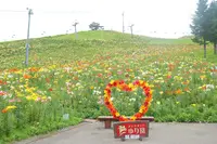 ダイナランドの写真・動画_image_253708