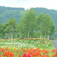 ダイナランドの写真・動画_image_253709