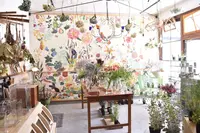 Dear, Folks & Flowersの写真・動画_image_253948