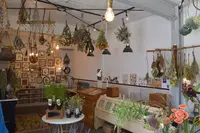 Dear, Folks & Flowersの写真・動画_image_253951