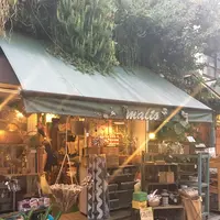 malto（マルト）の写真・動画_image_253964