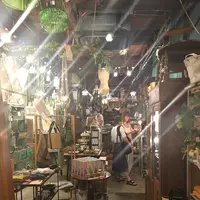 malto（マルト）の写真・動画_image_253965