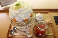 木と水と土との写真・動画_image_253974