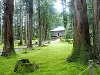 平泉寺白山神社の写真・動画_image_254196