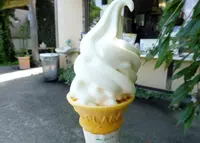 平泉寺のソフトクリーム屋さんの写真・動画_image_254198