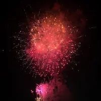 荒川・砂町水辺公園の写真・動画_image_254296