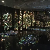 ポーラ ミュージアム アネックスの写真・動画_image_254451