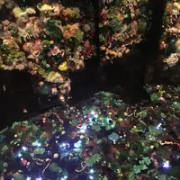 ポーラ ミュージアム アネックスの写真・動画_image_254453