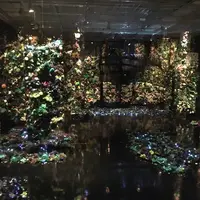 ポーラ ミュージアム アネックスの写真・動画_image_254454