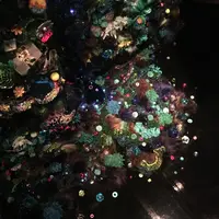 ポーラ ミュージアム アネックスの写真・動画_image_254455