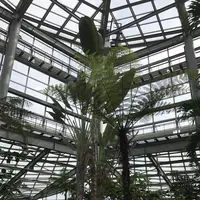 茨城県植物園の写真・動画_image_254770
