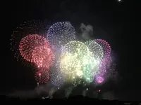 長岡まつり大花火大会の写真・動画_image_254886