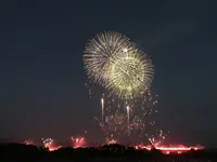 長岡まつり大花火大会の写真・動画_image_254887