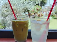 Caffè BROWNS insalata verdeの写真・動画_image_255144