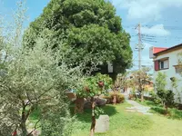 Caffè BROWNS insalata verdeの写真・動画_image_255151