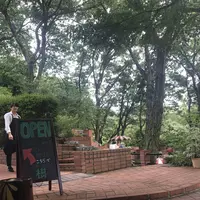 【閉業】樹ガーデン （イツキガーデン） の写真・動画_image_255249