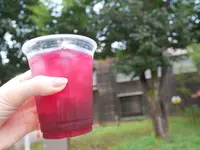 江戸東京たてもの園の写真・動画_image_255288