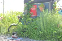 メイフェアアーマーカフェの写真・動画_image_255373
