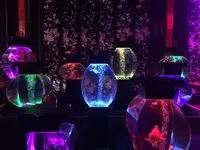 【閉業】アートアクアリウムの写真・動画_image_255573