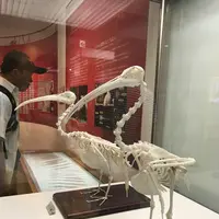 トキの森公園の写真・動画_image_256347