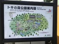 トキの森公園の写真・動画_image_256348