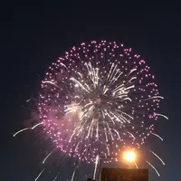 長岡まつり大花火大会の写真・動画_image_256354