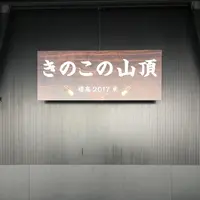 東京タワーの写真・動画_image_256541