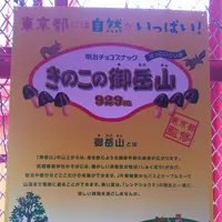 東京タワーの写真・動画_image_256545