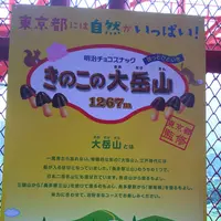 東京タワーの写真・動画_image_256548
