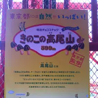東京タワーの写真・動画_image_256551