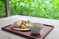 ライステラスカフェの写真・動画_image_256930